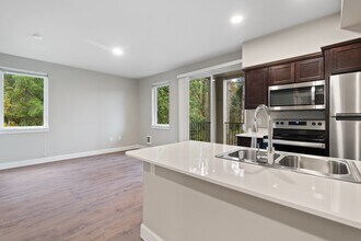 Open 1x1 D-205 floor plan